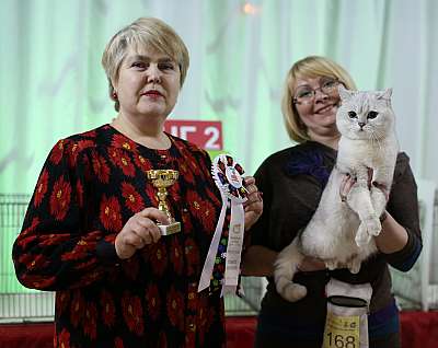 �������� ����� 22-23 ������ 2014, ������������ ��� �������� ����� 22-23 ������ 2014  ������������ ��� 169A8372 copy.jpg